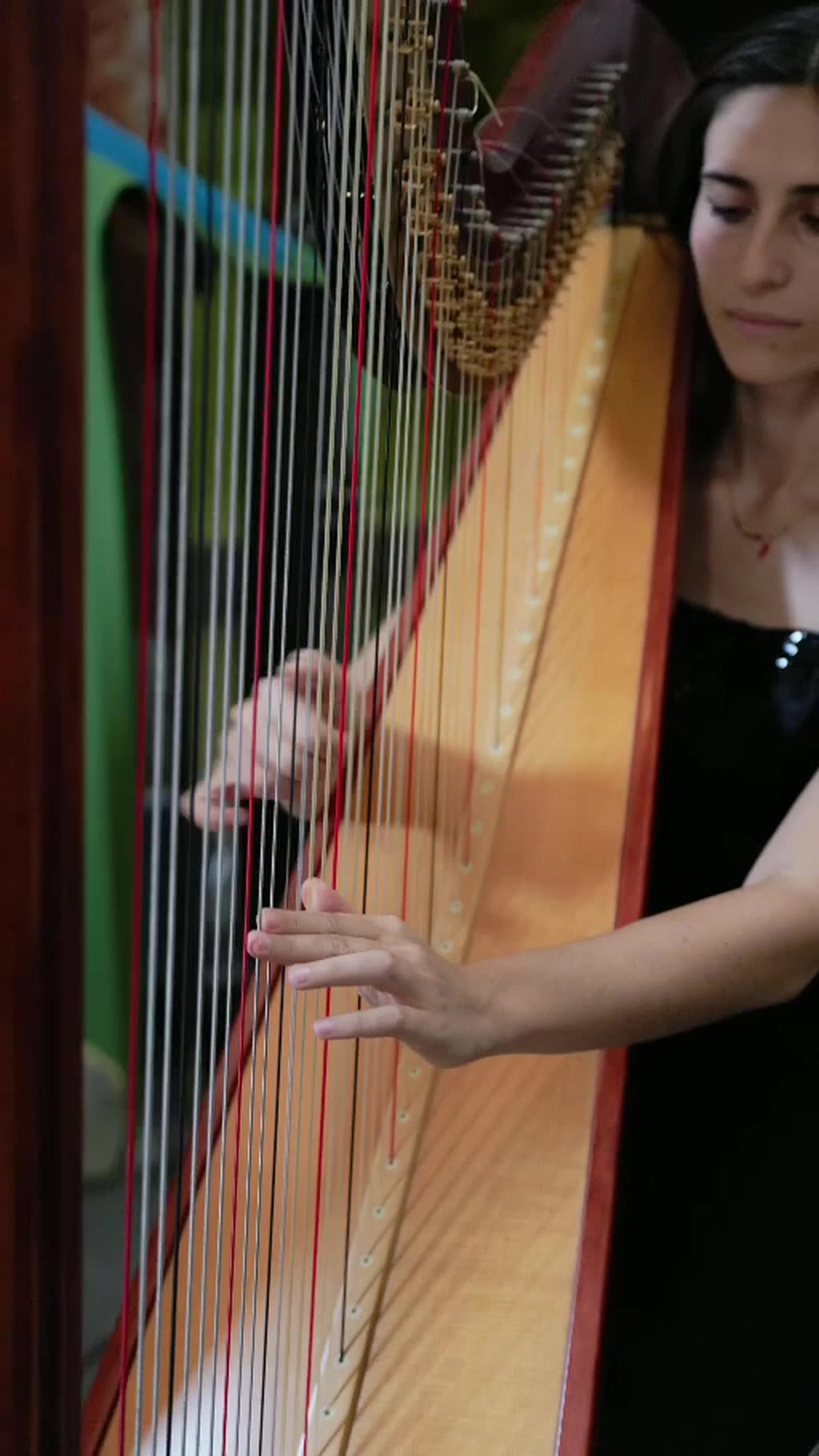 Arpa · quintetto durante un matrimonio